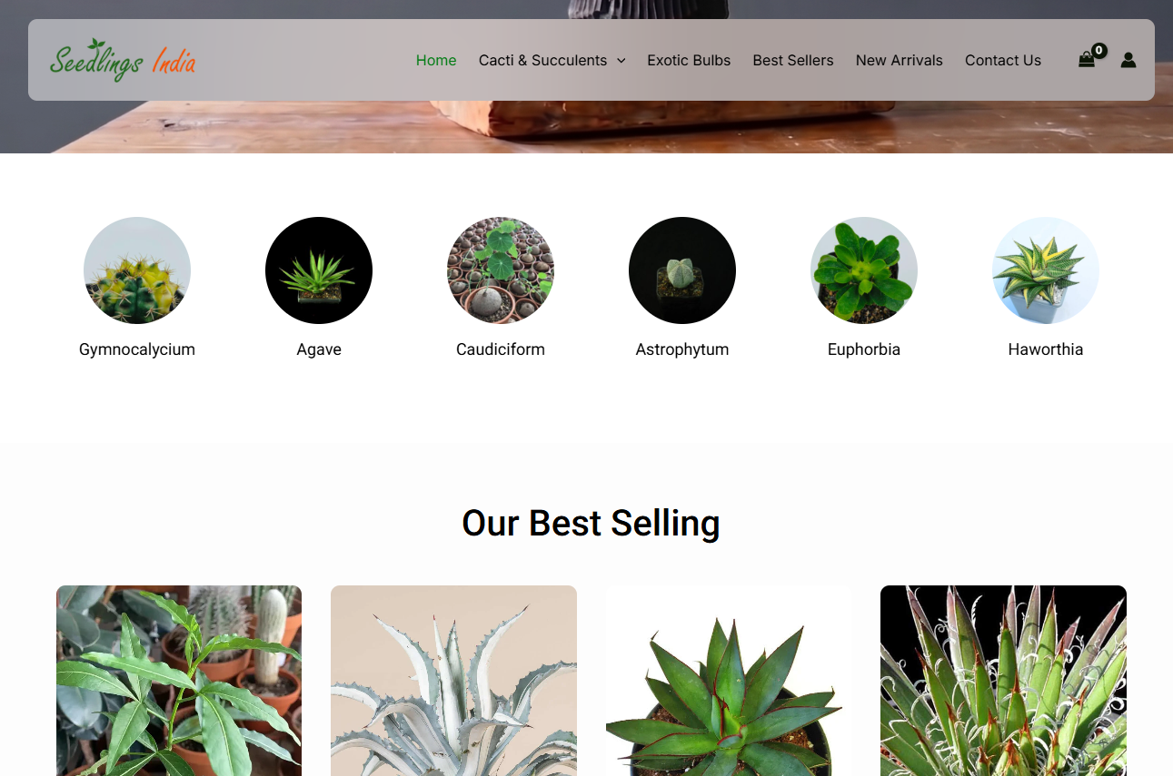 UI UX Design